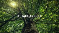 Ketahuan Budi