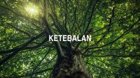 Ketebalan