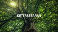 Ketersebaran