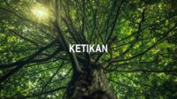 Ketikan