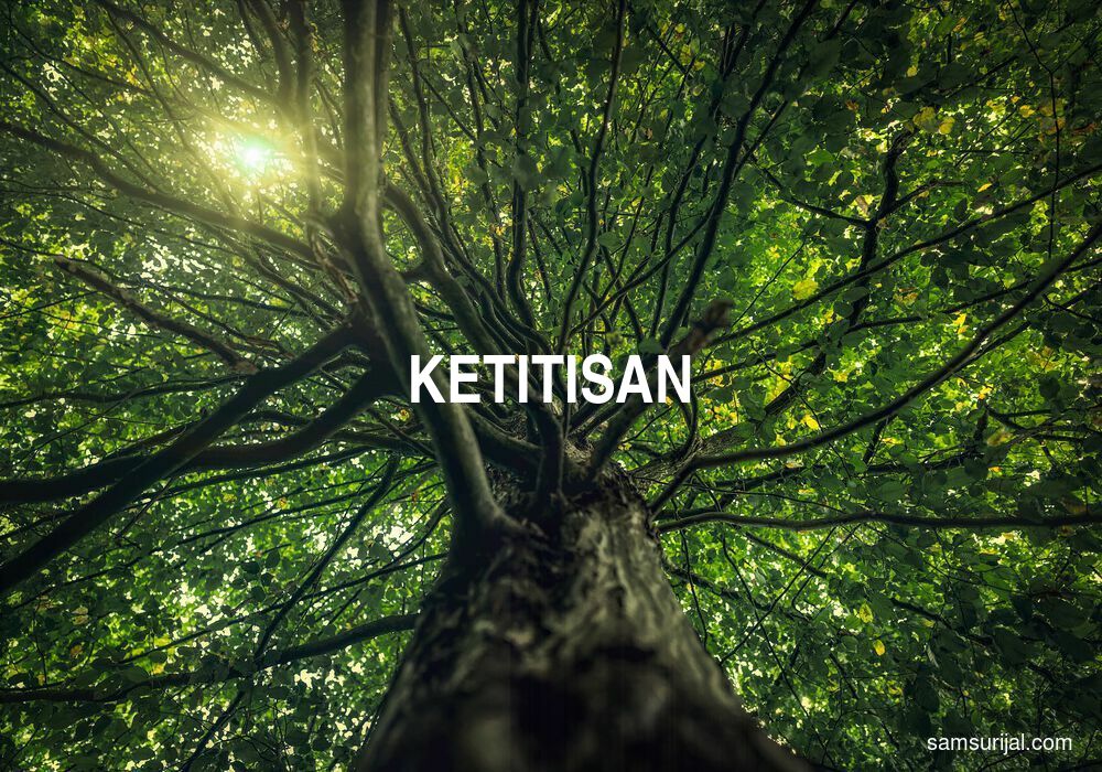 Arti Ketitisan