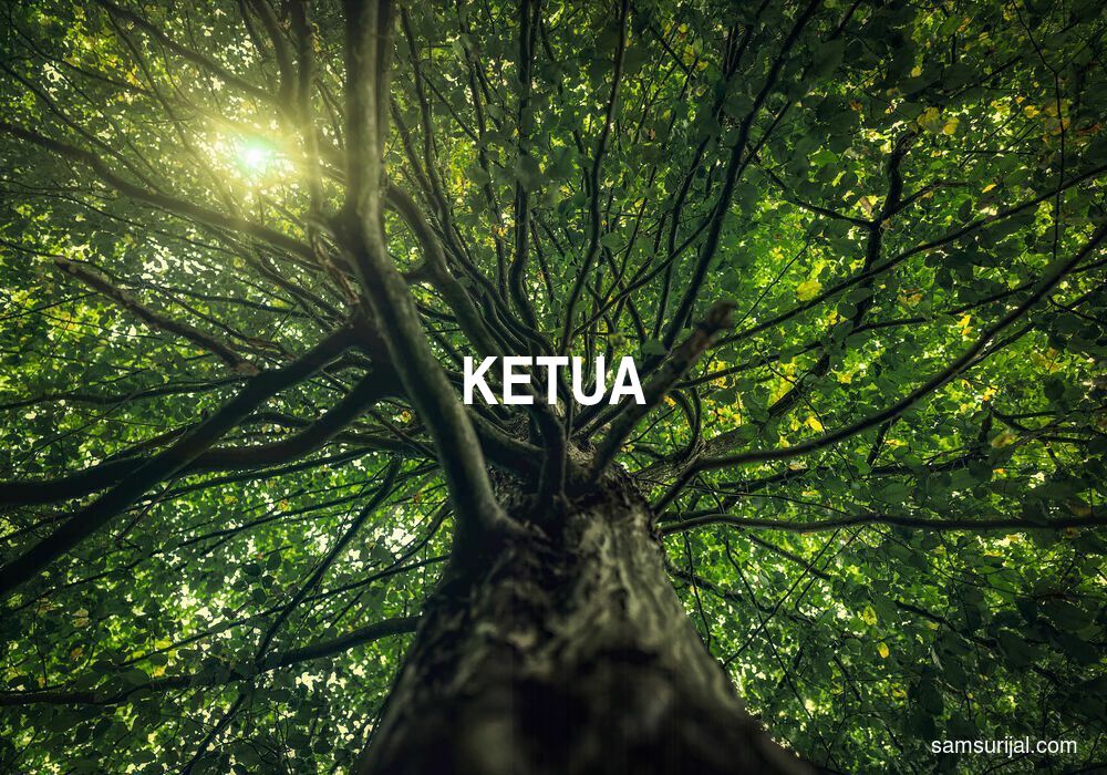 Arti Ketua