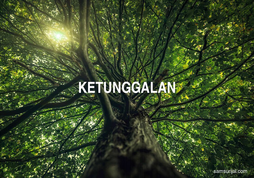 Arti Ketunggalan