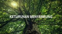 Keturunan Menyambung