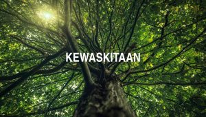 Kewaskitaan