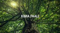 Kimia Faali