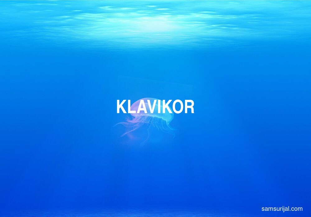 Arti Klavikor