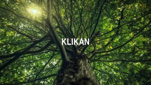 Klikan