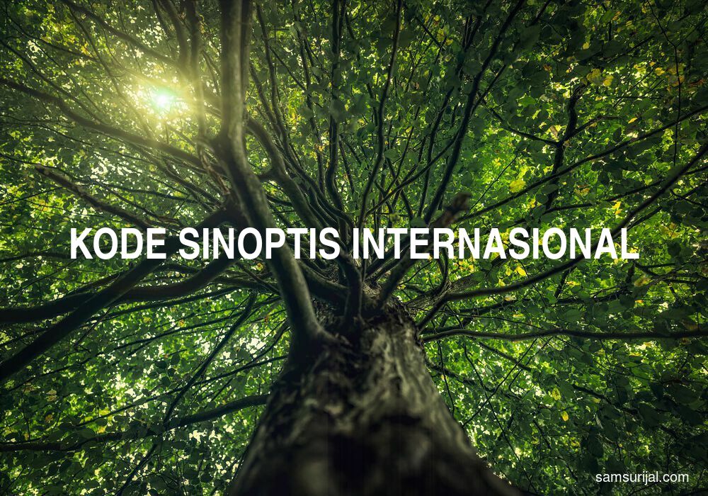 Arti Kode Sinoptis Internasional