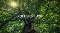 Koefisien Layu