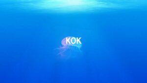 Arti Kok