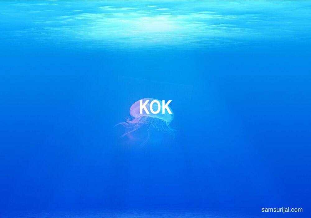 Arti Kok