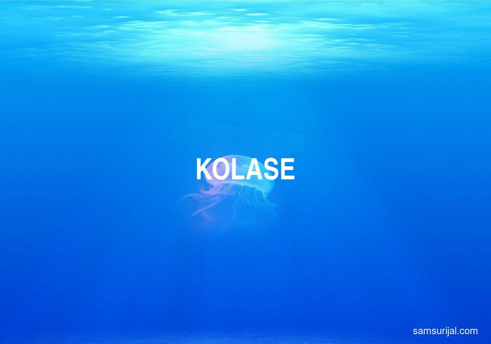 Arti Kolase