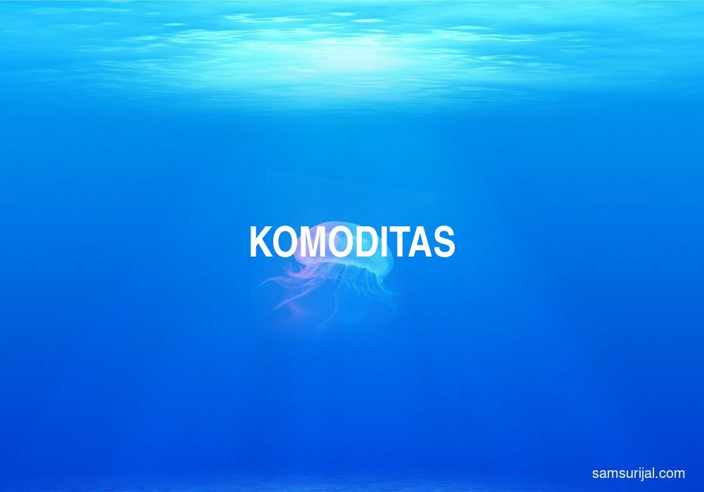 Arti Komoditas