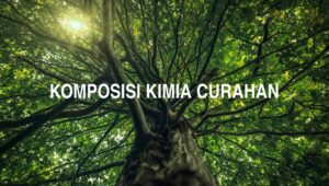 Komposisi Kimia Curahan
