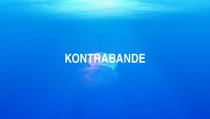 Arti Kontrabande
