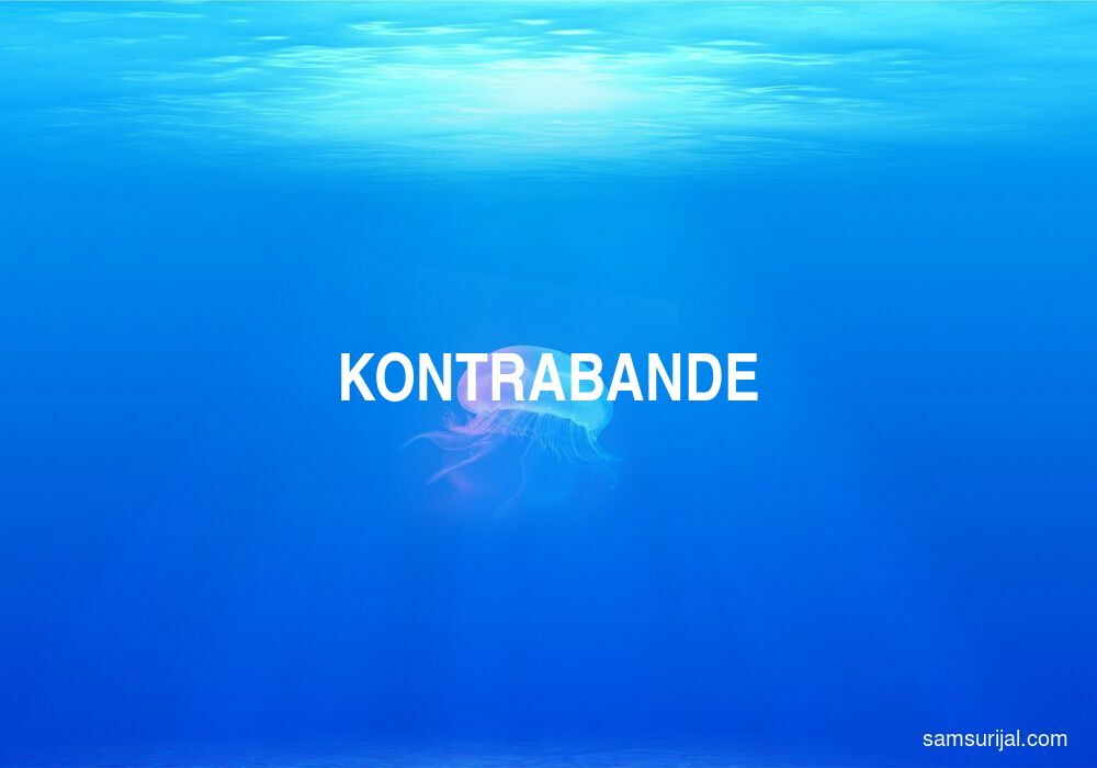 Arti Kontrabande