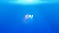 Kota