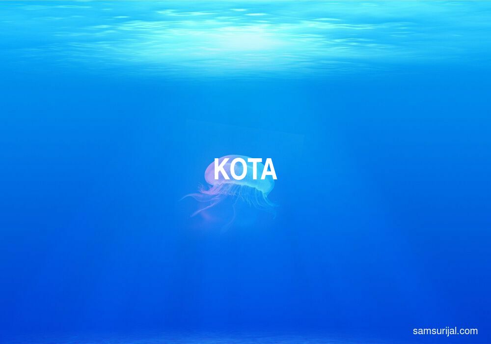 Arti Kota