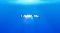 Kraniotomi