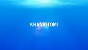 Arti Kraniotomi