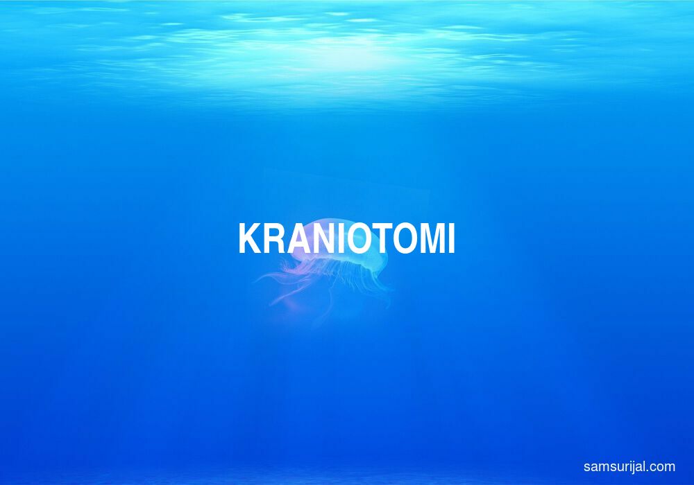 Arti Kraniotomi