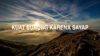 Kuat Burung Karena Sayap