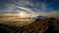 Kuda Laut