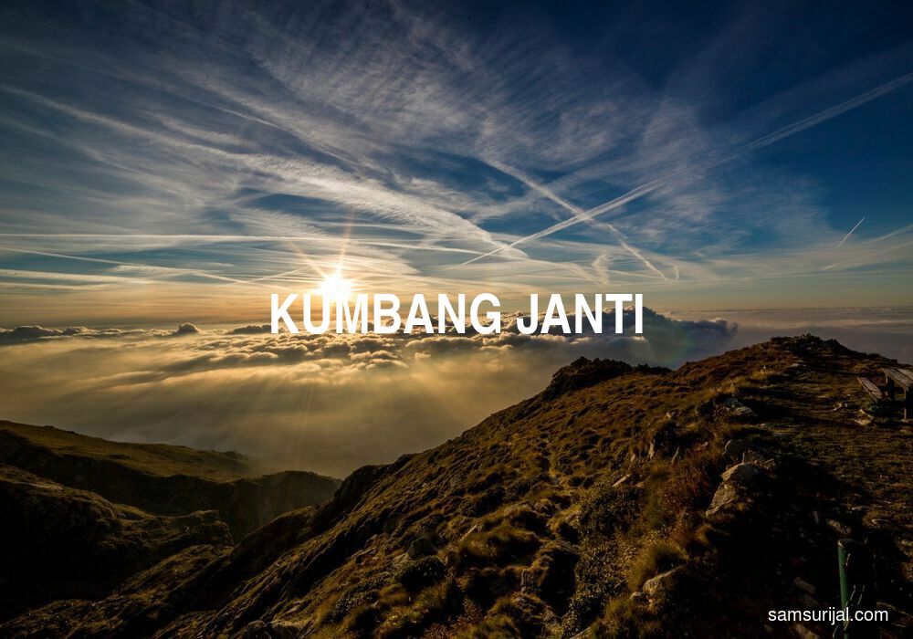 Arti Kumbang Janti