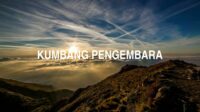 Kumbang Pengembara