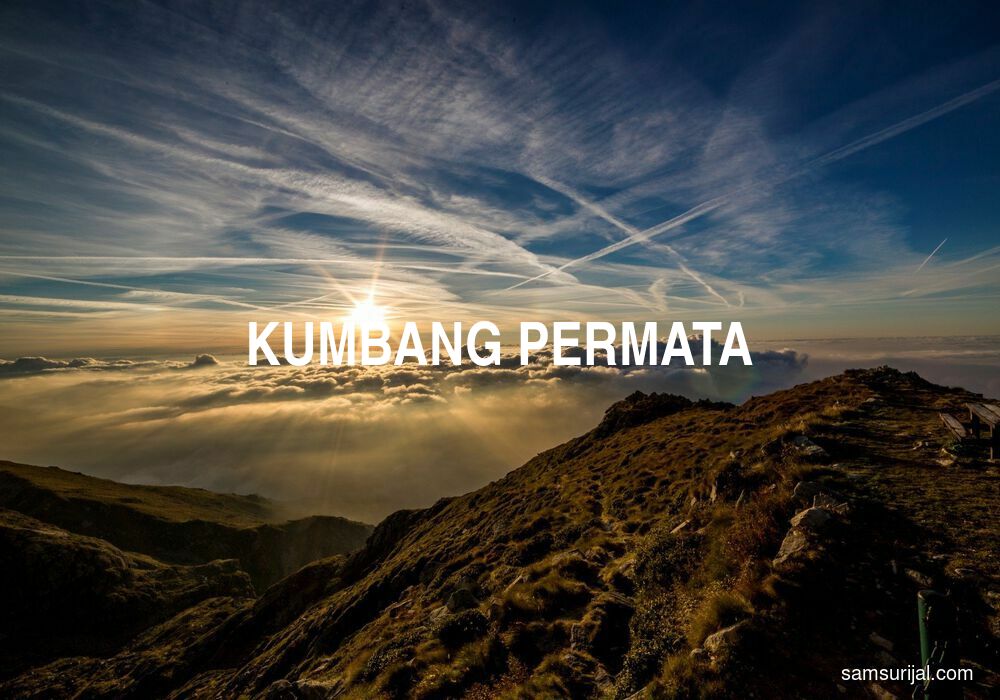 Arti Kumbang Permata