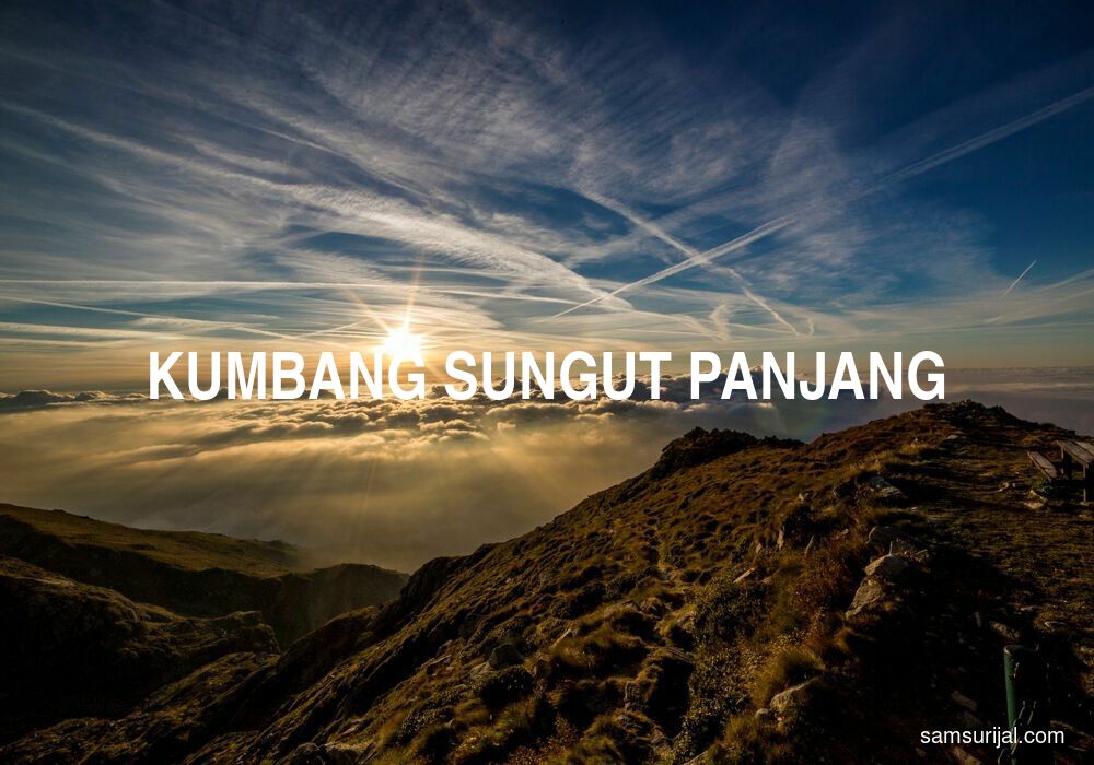 Arti Kumbang Sungut Panjang