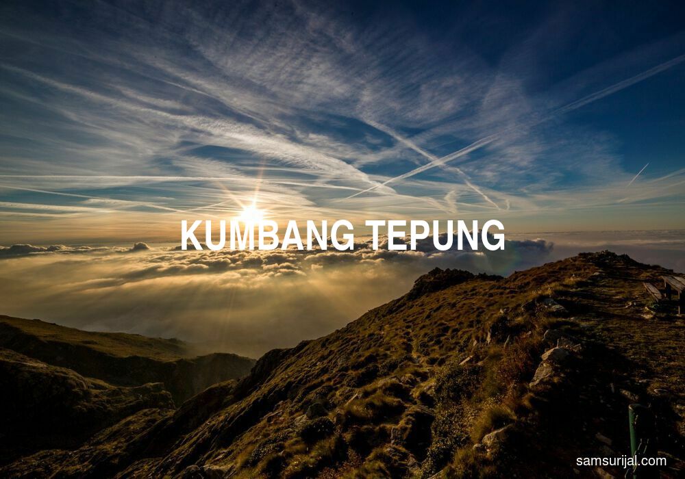 Arti Kumbang Tepung