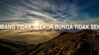 Kumbang Tidak Seekor Bunga Tidak Sekaki