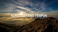 Kusut Sarang Tempua