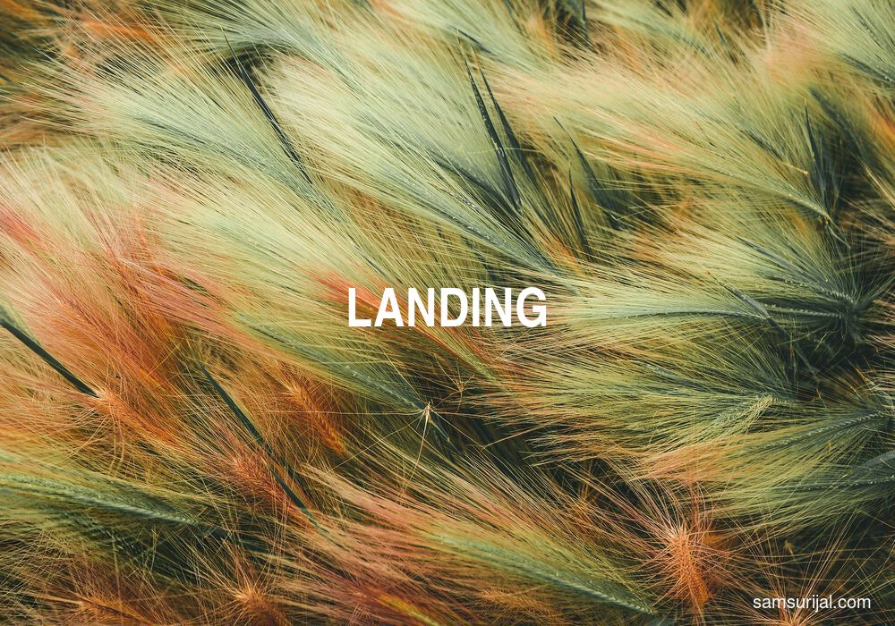 Arti Landing