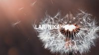 Lari Nikah