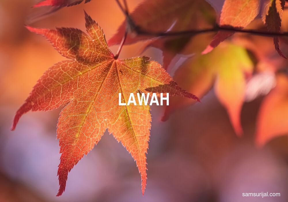 Arti Lawah