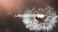 Lawang Pintasan
