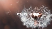 Layar Proyeksi