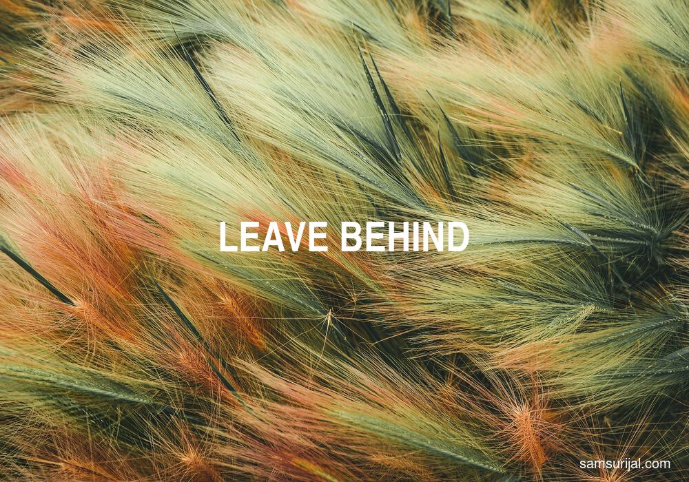 Arti Leave Behind