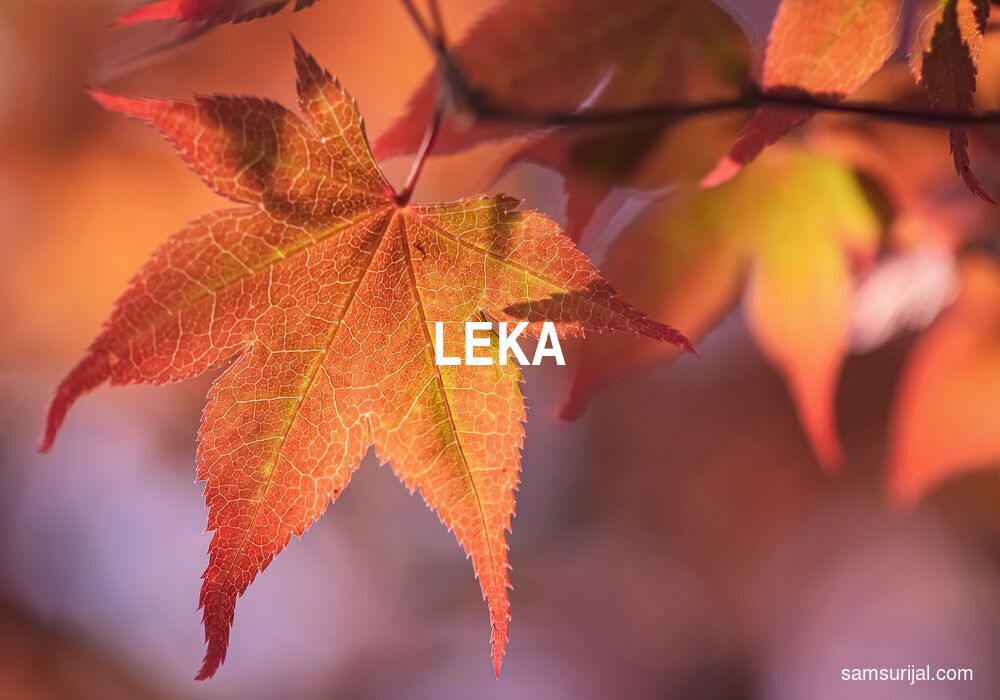 Arti Leka