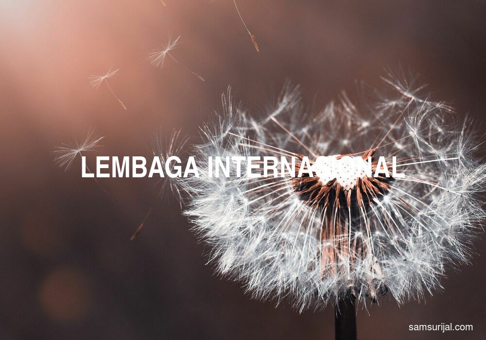 Arti Lembaga Internasional