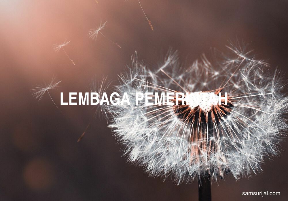 Arti Lembaga Pemerintah