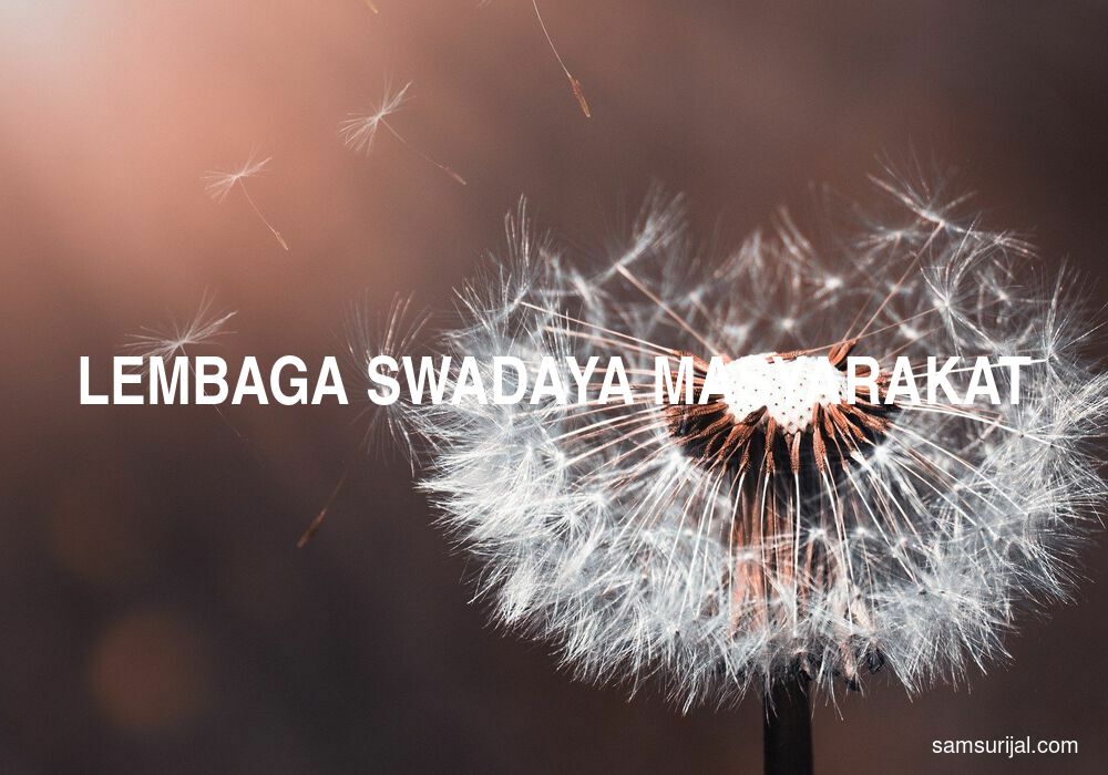 Arti Lembaga Swadaya Masyarakat