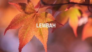 Arti Lembah