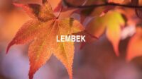 Lembek