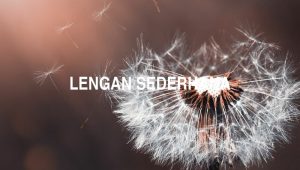 Lengan Sederhana