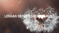 Lengan Seperti Sulur Bakung