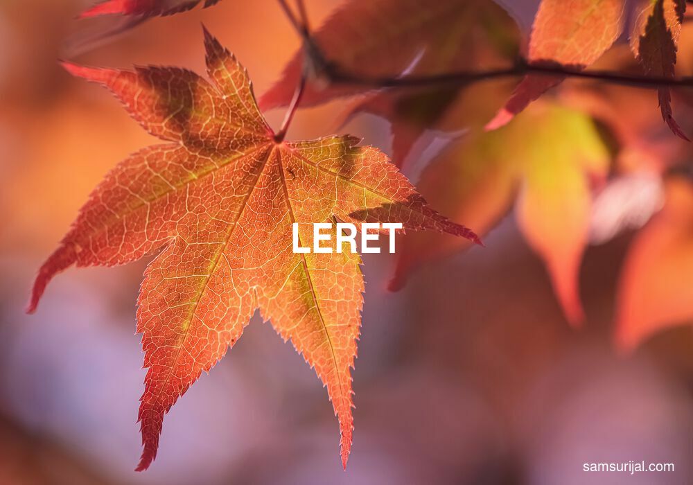 Arti Leret